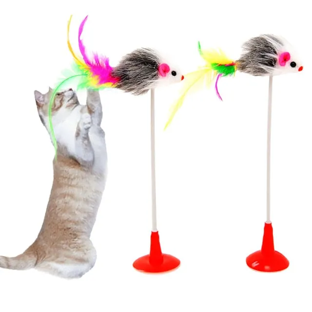 Cat Teaser Toys