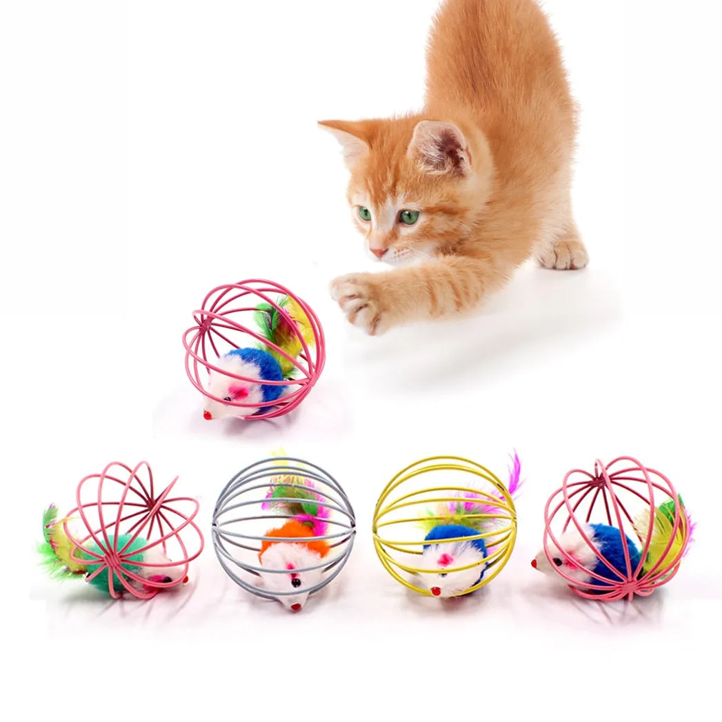 Cat Teaser Toys