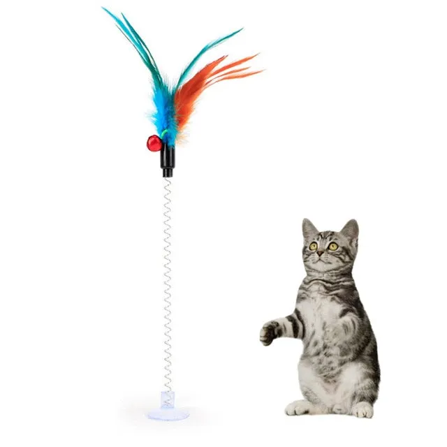 Cat Teaser Toys