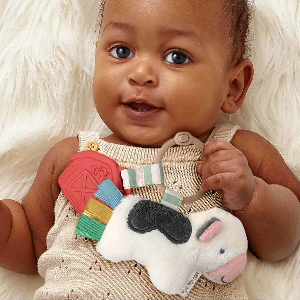 Itzy Pal™ Infant Toy