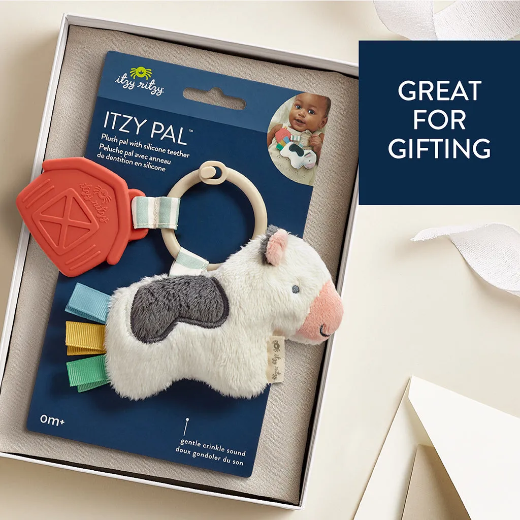 Itzy Pal™ Infant Toy