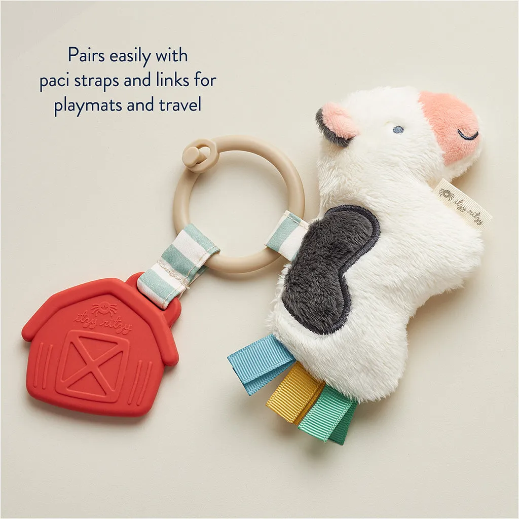 Itzy Pal™ Infant Toy