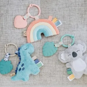 Itzy Ritzy Itzy Pal Plush   Teether