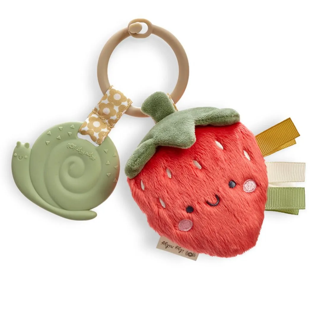 Itzy Ritzy Itzy Pal Plush   Teether